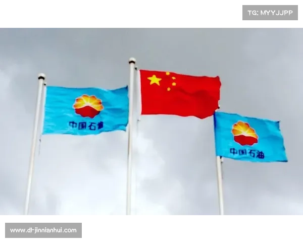 暴雨过后卢安达石油工人球场紧急排水系统测试展开 暴雨过后卢安达石油工人球场紧急排水系统测试展开